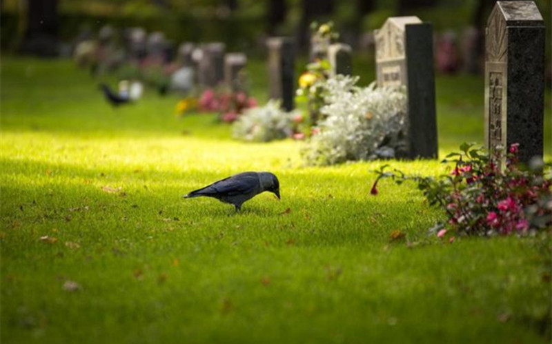 極樂殯葬網教你挑選合適的墓地方位